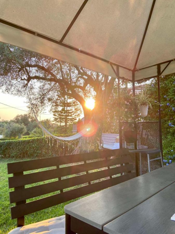 Sunny Garden villa Plataria Rum bild