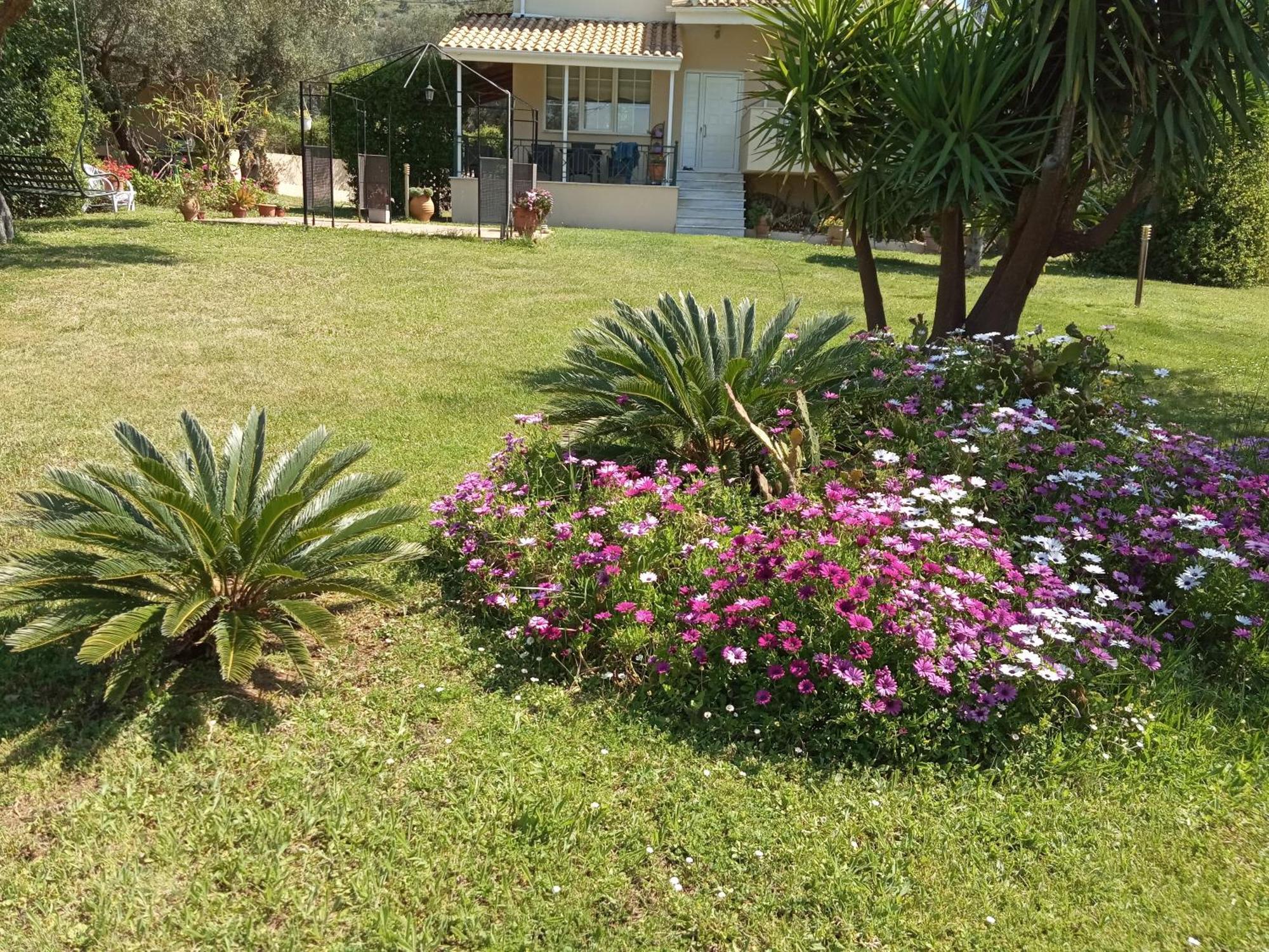 Sunny Garden villa Plataria Rum bild